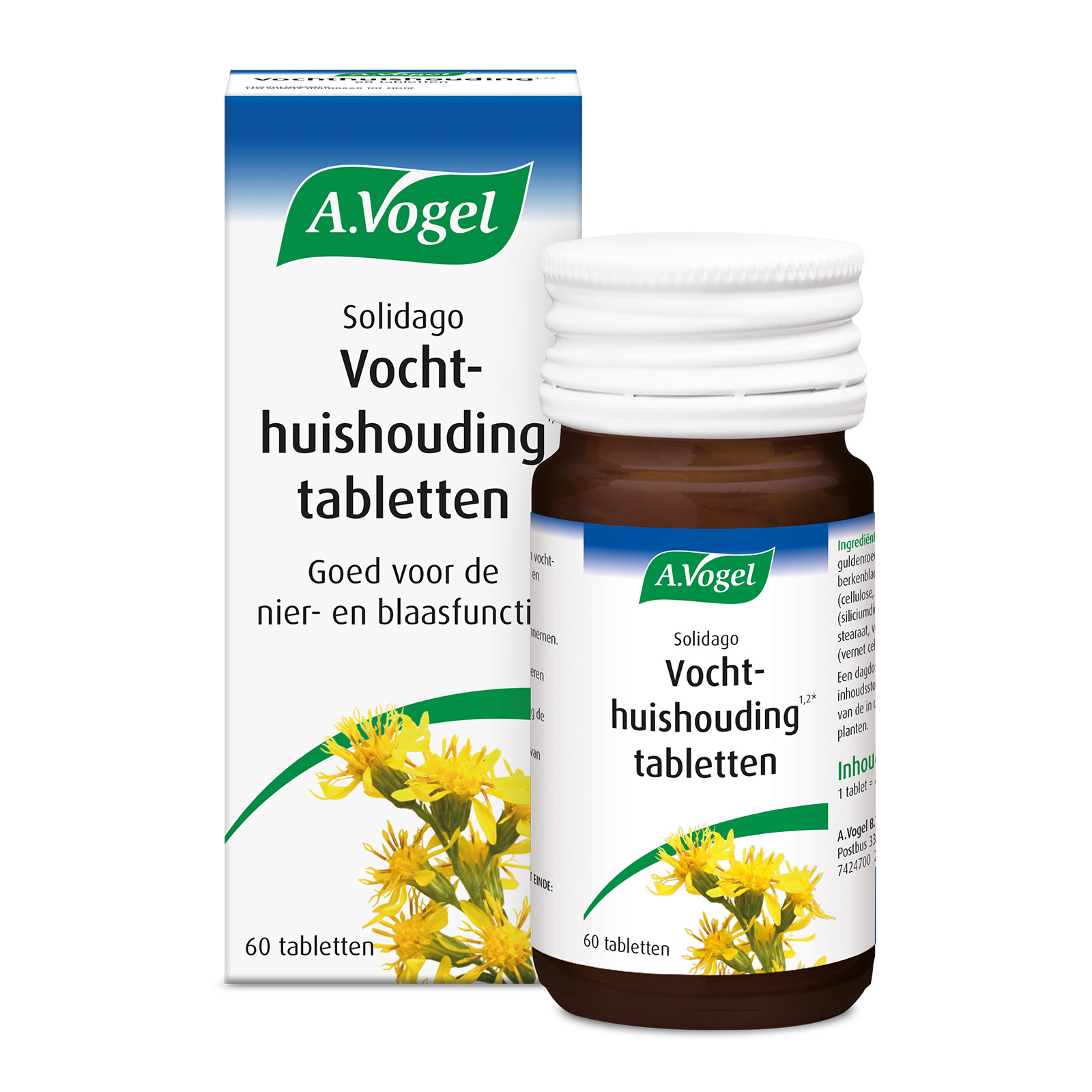 Vogel - Solidago