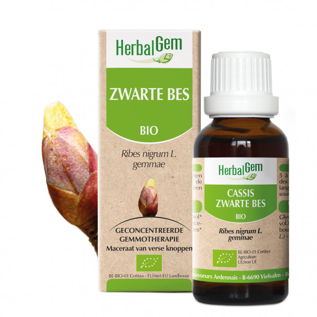 HerbalGem - Zwarte Bes / Cassis
