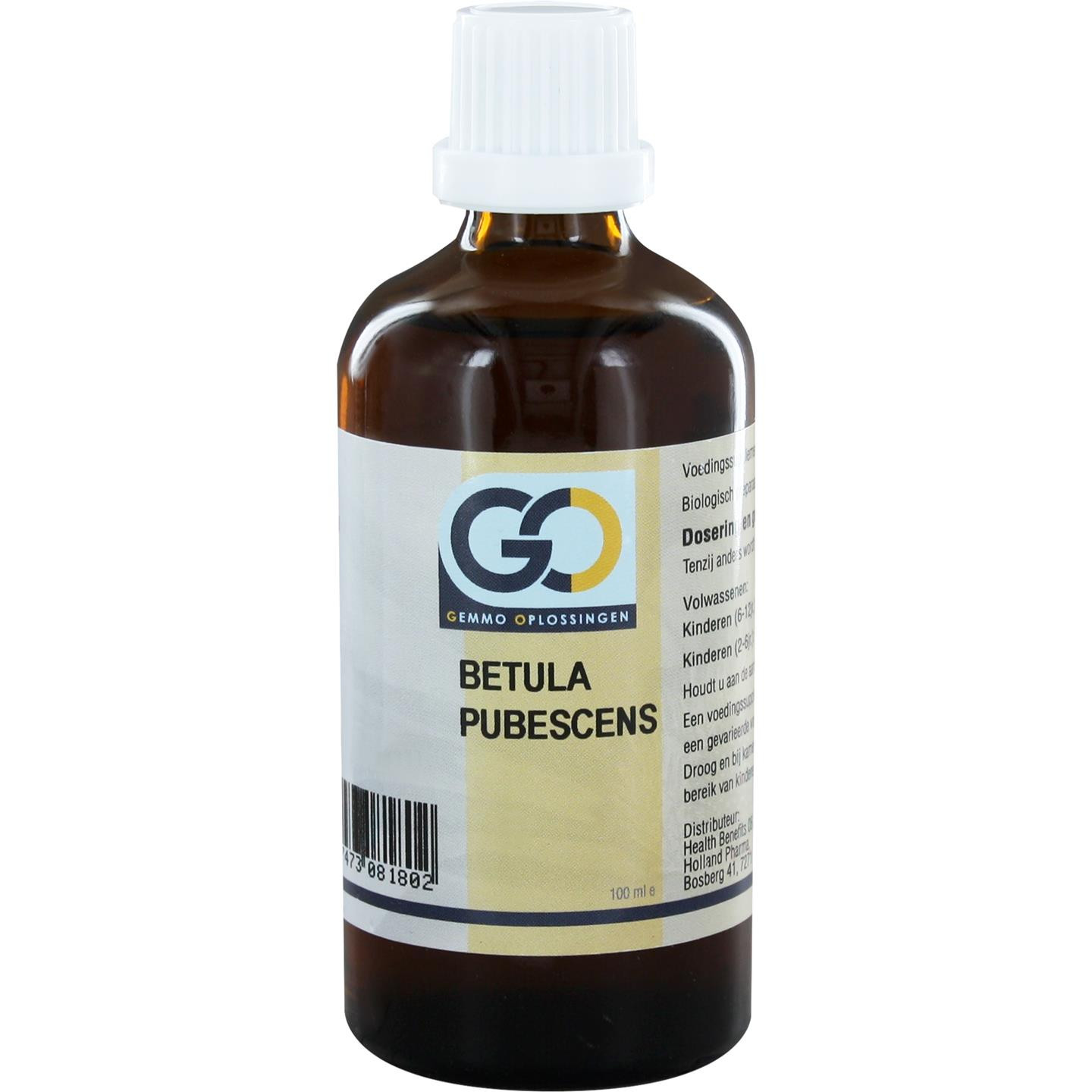 GO - Betula pubescens