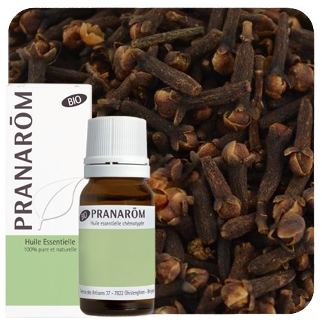 Pranarom - Kruidnagel