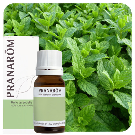 Pranarom - Groene munt (Kruizemunt)