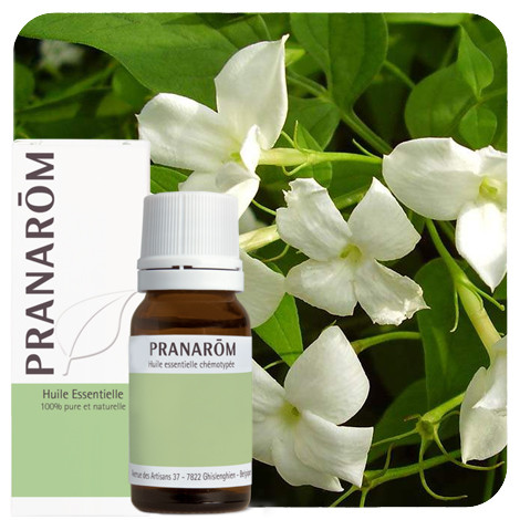 Pranarom - Jasmijn absolue