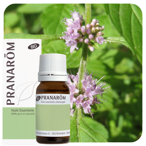 Pranarom - Akkermunt