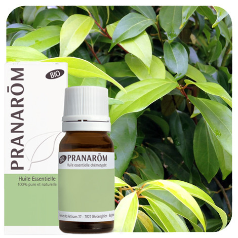 Pranarom - Kaneelboom (Chinese)