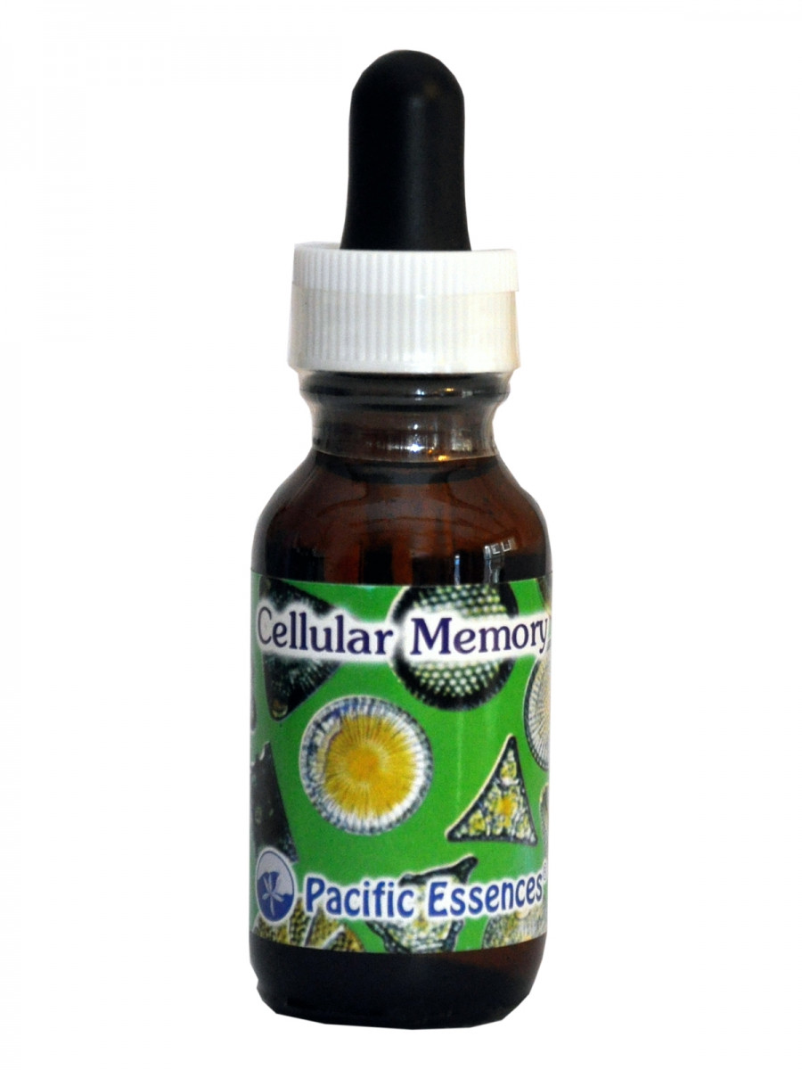 Pacific Essences - Cellular Memory