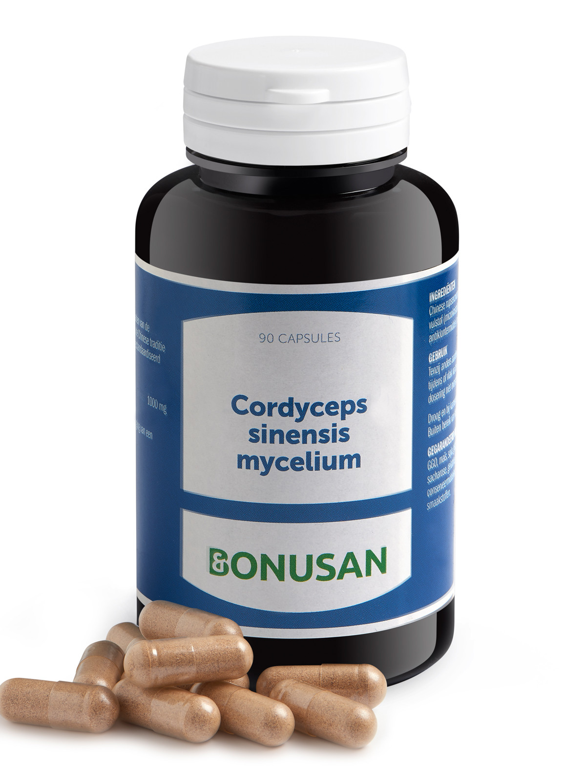 Cordyceps sinensis mycelium