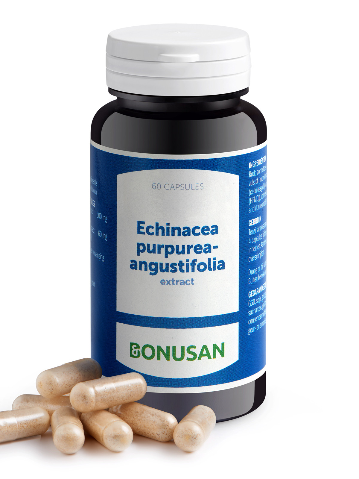 Echinacea purpurea angustifolia