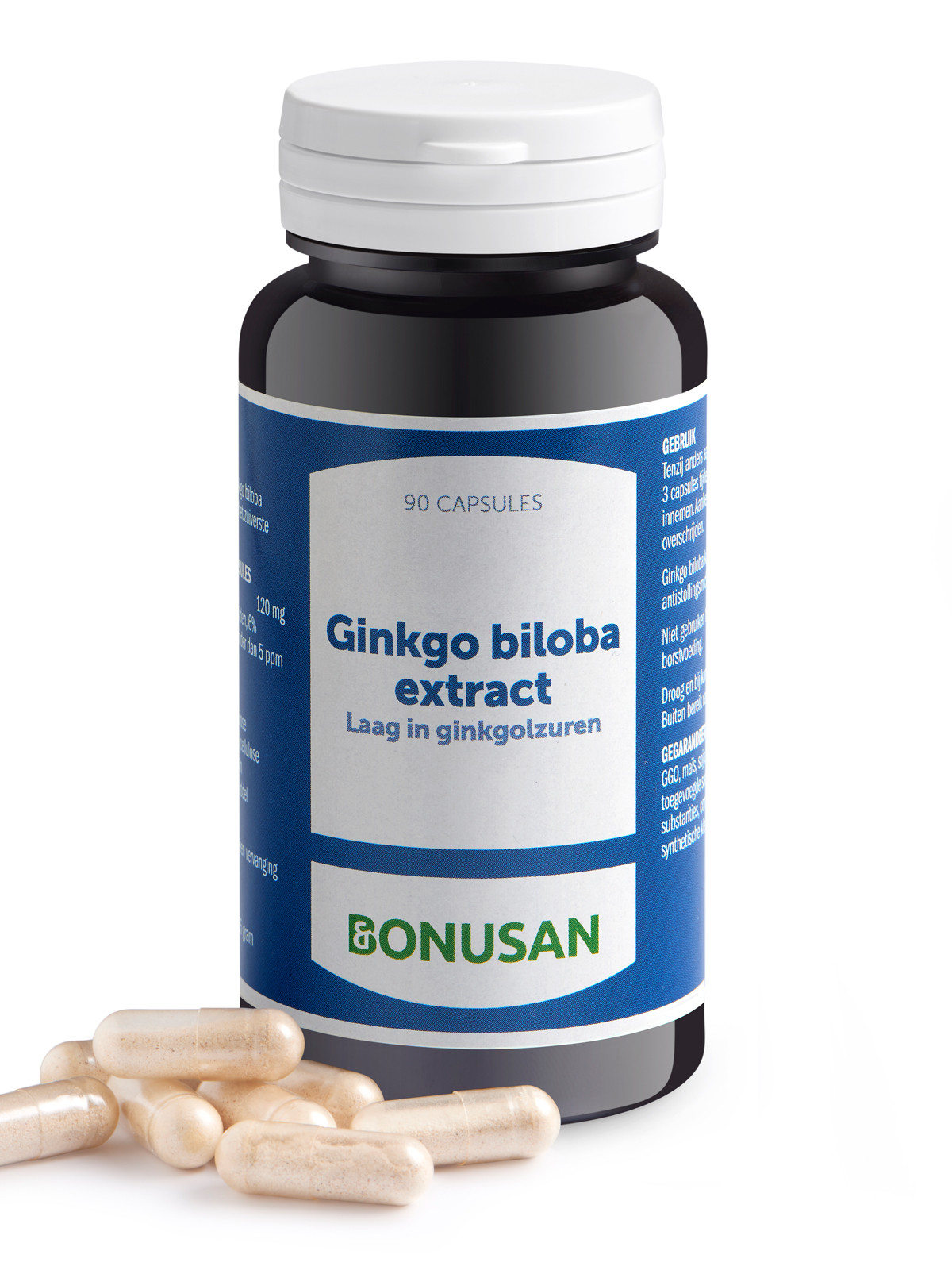 Ginkgo biloba extract